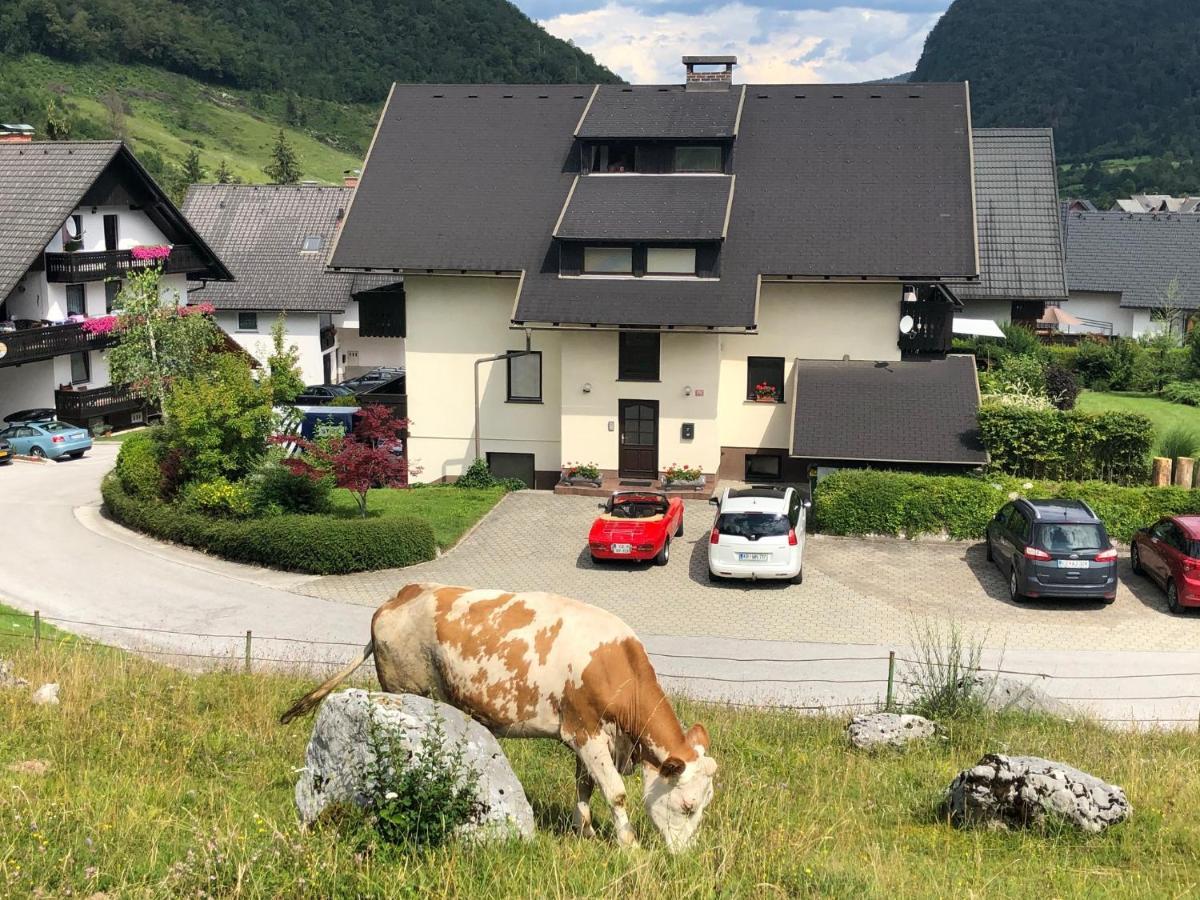 Apartment In The Heart Of Nature Bohinj Buitenkant foto
